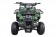 Coolster 110cc 3050D ATV Army Green