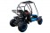 Coolster 125cc 6125B Automatic Go Kart