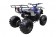 Coolster 125cc 3125XR8 Ultimate Mid Size ATV Blue Rear View