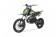 TAOTAO DB14 110cc GREEN