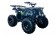 Vitacci Rider-10 125cc ATV