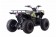 Vitacci 125 Pentora IRIDE Mid-Size ATV