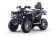Vitacci 200cc ATV Pentora Hunter Utility EFI