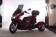 Icebear 50cc Q6 - Burgundy