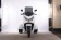 Icebear 50cc Q6 - White