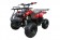 Coolster 110cc 3050D ATV