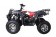 Tao Tao bull 200 Type Adult ATV
