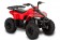 Tao Motor Mud Hawk 6 110 Kids ATV