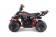 TaoTao Rock 110 with Reverse Kids ATV - Free Assembly 