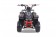 TaoTao Rock 110 with Reverse Kids ATV - Free Assembly 