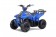TaoTao Rock 110 with Reverse Kids ATV - Free Assembly 