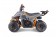 TaoTao Rock 110 with Reverse Kids ATV - Free Assembly 