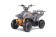 TaoTao Rock 110 with Reverse Kids ATV - Free Assembly 