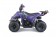 TaoTao Rock 110 with Reverse Kids ATV - Free Assembly 