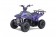 TaoTao Rock 110 with Reverse Kids ATV - Free Assembly 