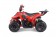 TaoTao Rock 110 with Reverse Kids ATV - Free Assembly 