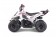 TaoTao Rock 110 with Reverse Kids ATV - Free Assembly 