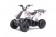 TaoTao Rock 110 with Reverse Kids ATV - Free Assembly 