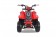 TaoTao Rock 110 with Reverse Kids ATV - Free Assembly 