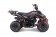 TaoTao Rock 110 with Reverse Kids ATV - Free Assembly 