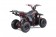 TaoTao Rock 110 with Reverse Kids ATV - Free Assembly 