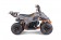 TaoTao Rock 110 with Reverse Kids ATV - Free Assembly 