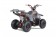 TaoTao Rock 110 with Reverse Kids ATV - Free Assembly 