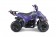 TaoTao Rock 110 with Reverse Kids ATV - Free Assembly 