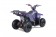 TaoTao Rock 110 with Reverse Kids ATV - Free Assembly 