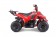 TaoTao Rock 110 with Reverse Kids ATV - Free Assembly 