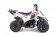 TaoTao Rock 110 with Reverse Kids ATV - Free Assembly 