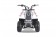 TaoTao Rock 110 with Reverse Kids ATV - Free Assembly 