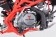 Tao Motor 140cc DBX1 Adult Dirt Bike - Free Assembly