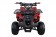 Coolster 110cc 3050D ATV