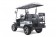 Tao Motor Champ Electric Golf Cart