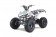 Tao Motor G125 Mid-Size ATV - Free Assembly 
