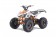 Tao Motor G125 Mid-Size ATV - Free Assembly 