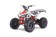 Tao Motor G125 Mid-Size ATV - Free Assembly 
