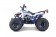 Tao Motor G125 Mid-Size ATV - Free Assembly 