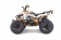 Tao Motor G125 Mid-Size ATV - Free Assembly 