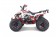 Tao Motor G125 Mid-Size ATV - Free Assembly 