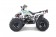 Tao Motor G125 Mid-Size ATV - Free Assembly 