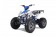 Tao Motor 125 Cheetah Platinum Mid-Size ATV - Free Assembly 