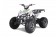 Tao Motor 125 Cheetah Platinum Mid-Size ATV - Free Assembly 