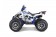 Tao Motor 125 Cheetah Platinum Mid-Size ATV - Free Assembly 