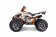 Tao Motor 125 Cheetah Platinum Mid-Size ATV - Free Assembly 