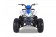 Tao Motor 125 Cheetah Platinum Mid-Size ATV - Free Assembly 