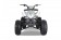 Tao Motor 125 Cheetah Platinum Mid-Size ATV - Free Assembly 