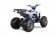 Tao Motor 125 Cheetah Platinum Mid-Size ATV - Free Assembly 