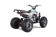 Tao Motor 125 Cheetah Platinum Mid-Size ATV - Free Assembly 